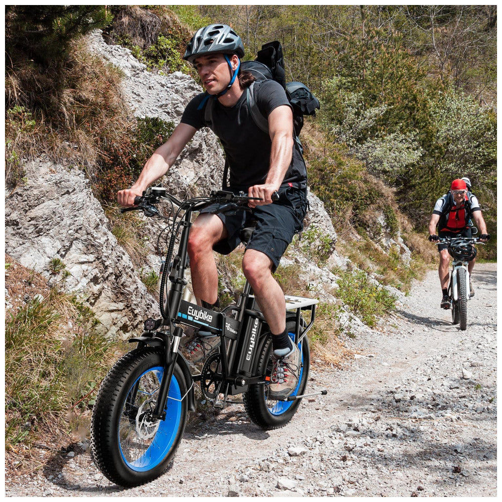 Bicicleta Elétrica Dobrável de 1000W, Bateria Removível Grande de 48V 20AH, 30MPH, Alcance Máximo de 80 Milhas, Bicicleta Elétrica com Pneus Largos de, Preta