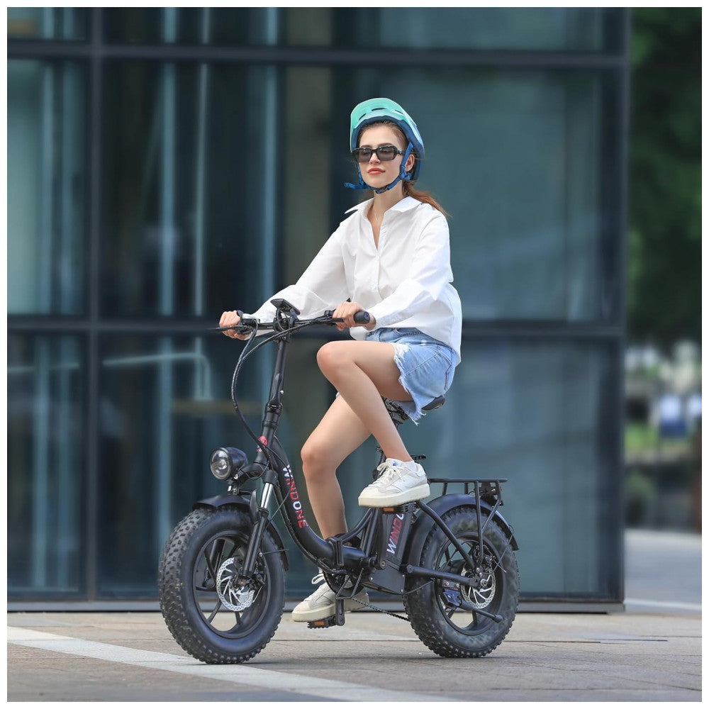 Bicicleta Elétrica para Adultos Windone S14S16, Velocidade Máxima de 31 km h, Autonomia de 4582 km PAS, Motor de Pico 750W, Dobrável, Leve, Amortecedo