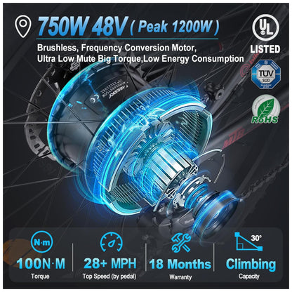 Bicicleta Elétrica FREESKY Himalaya Pro 750W Pico 1200W – Bateria Removível 48V 15Ah, Rodas 26"x4", Suspensão Hidráulica, Freios a Disco de 4 Pistões, Câmbio Shimano 7V, Visor LCD – Preta