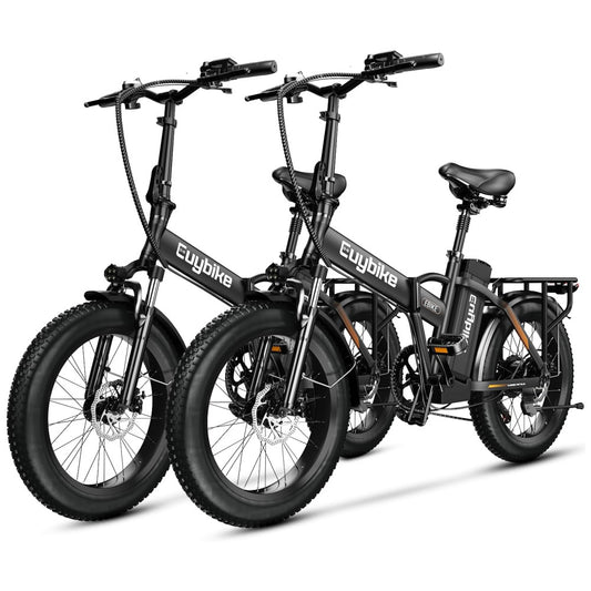 Kit com 2 Bicicletas Elétricas Dobráveis bluebiko F6B com Motor Brushless 750W Pico 1000W , Bateria Removível 48V 20Ah, Freios a Disco Duplos e Sistema de Transmissão 7 Velocidades e autonomia de 128km, F6B Preto Preto