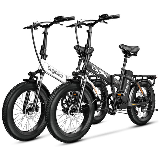 Kit com 2 Bicicletas Elétricas Dobráveis bluebiko F6B com Motor Brushless 750W Pico 1000W , Bateria Removível 48V 20Ah, Freios a Disco Duplos e Sistema de Transmissão 7 Velocidades e autonomia de 128km, F6B Preto Branco